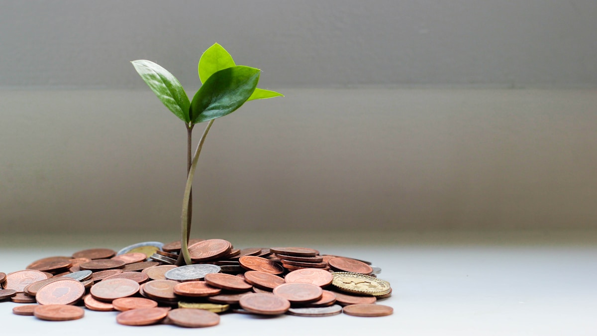 Impact Investing